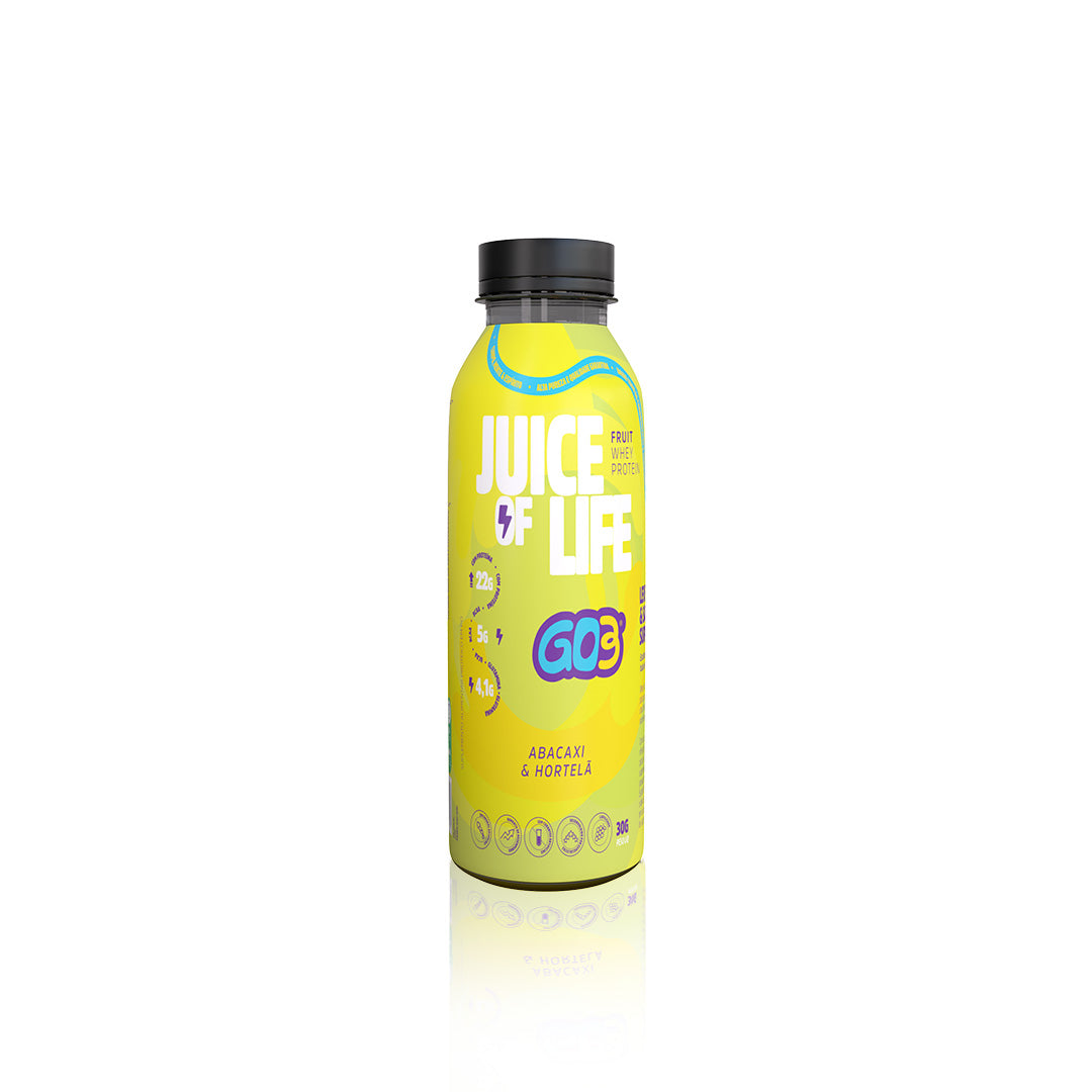 WHEY PROTEIN JUICE GARRAFA GO3