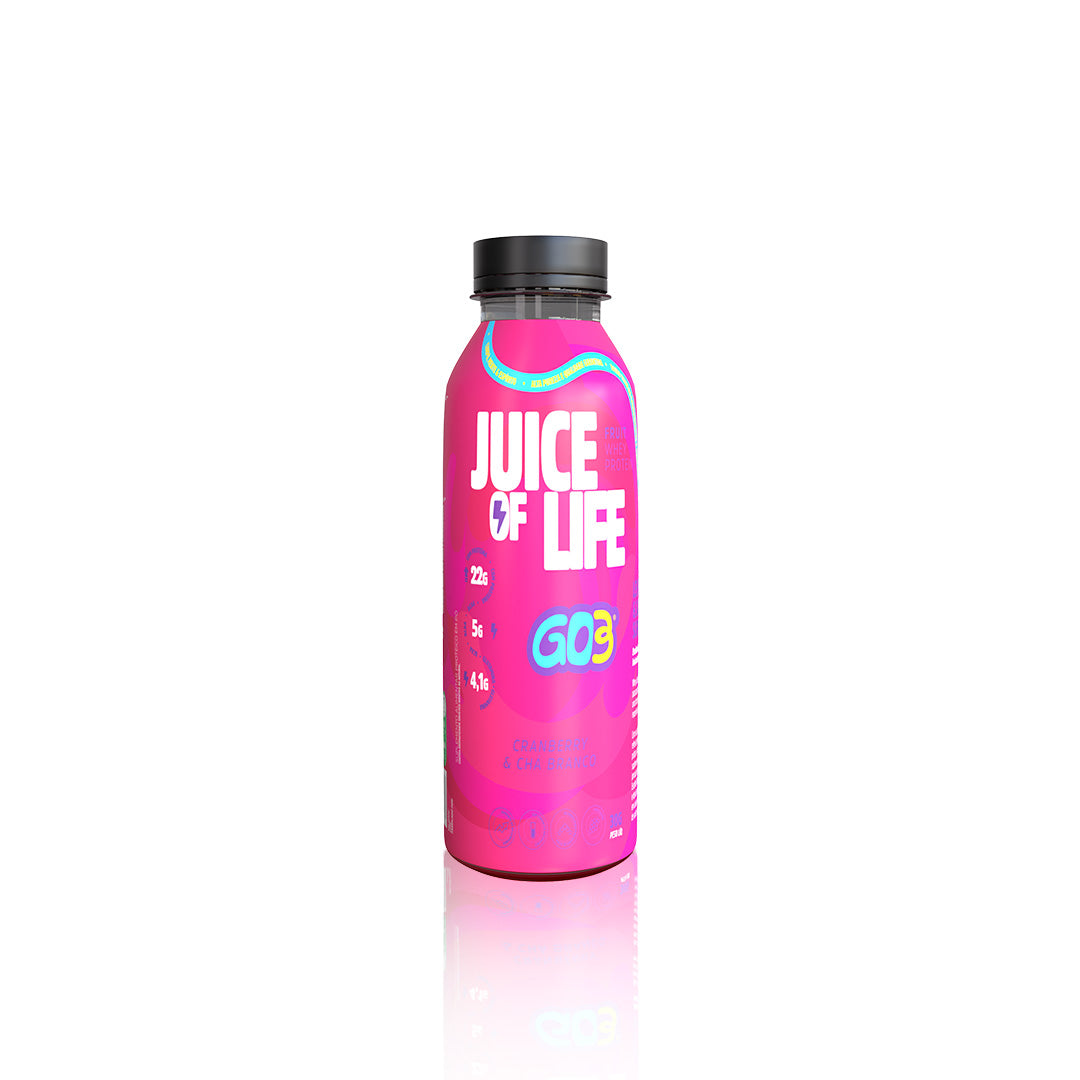 WHEY PROTEIN JUICE GARRAFA GO3