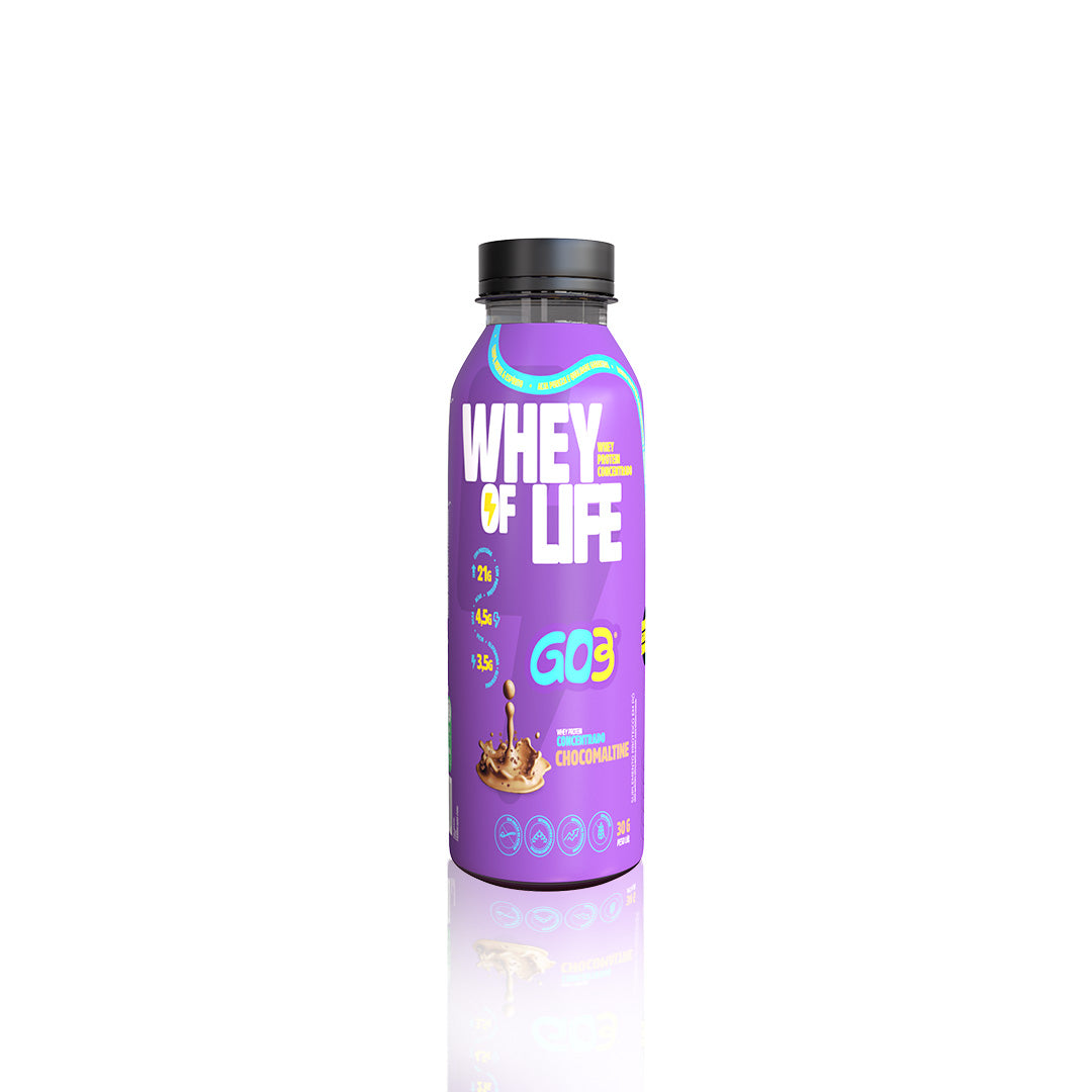 WHEY PROTEIN CONCENTRADO GARRAFA GO3