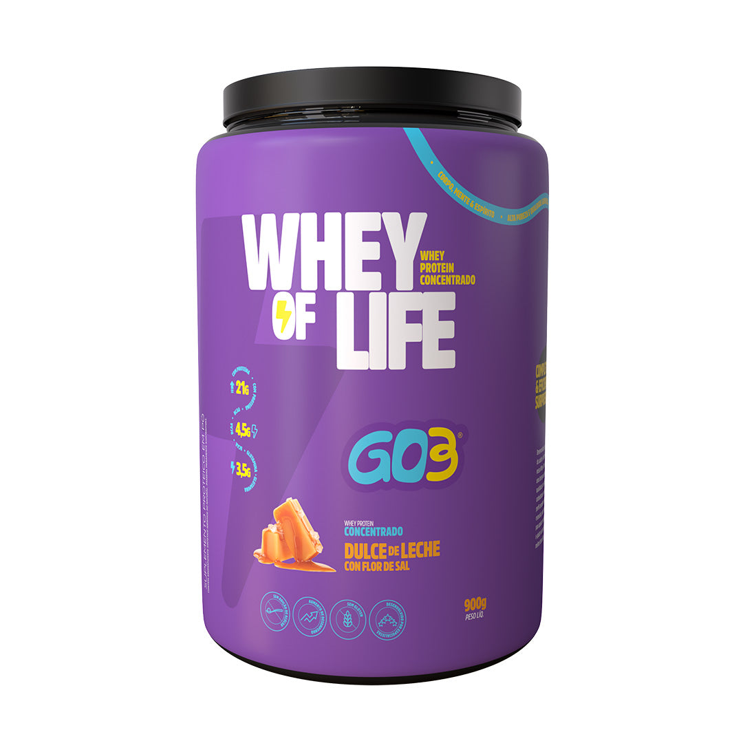 WHEY PROTEIN CONCENTRADO GO3 - 900 g