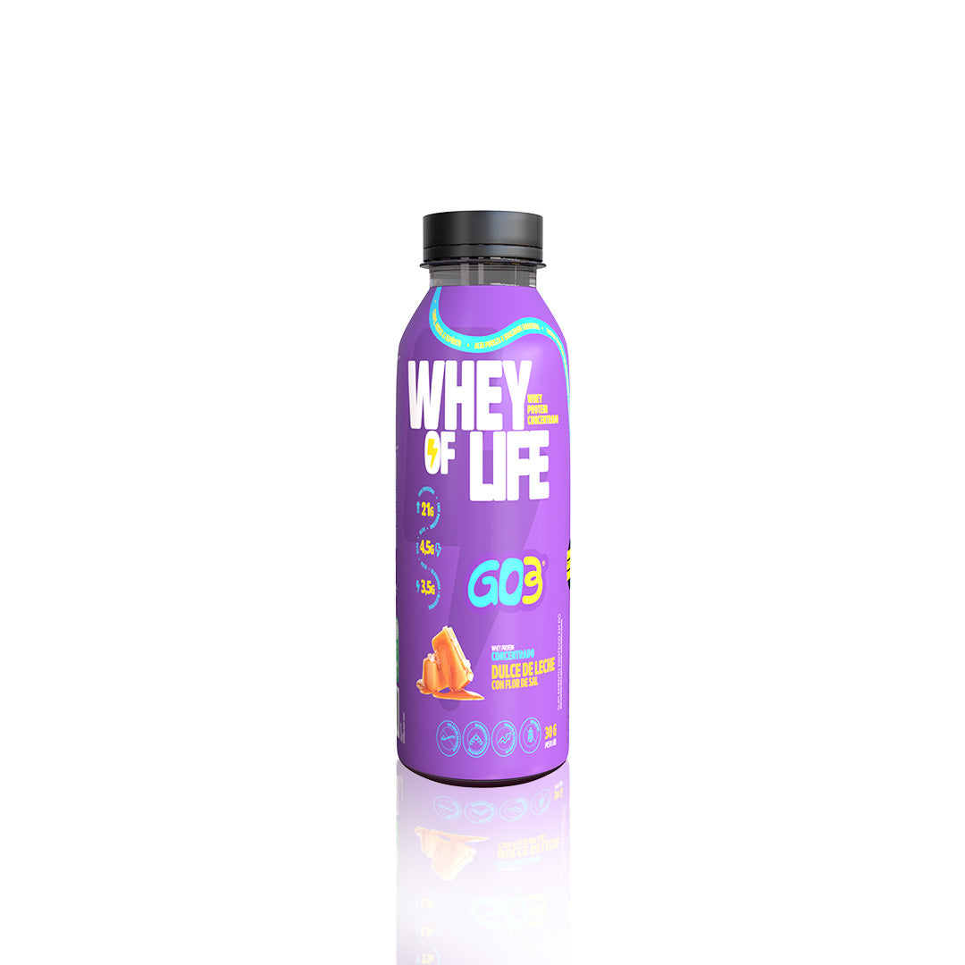 WHEY PROTEIN CONCENTRADO GARRAFA GO3