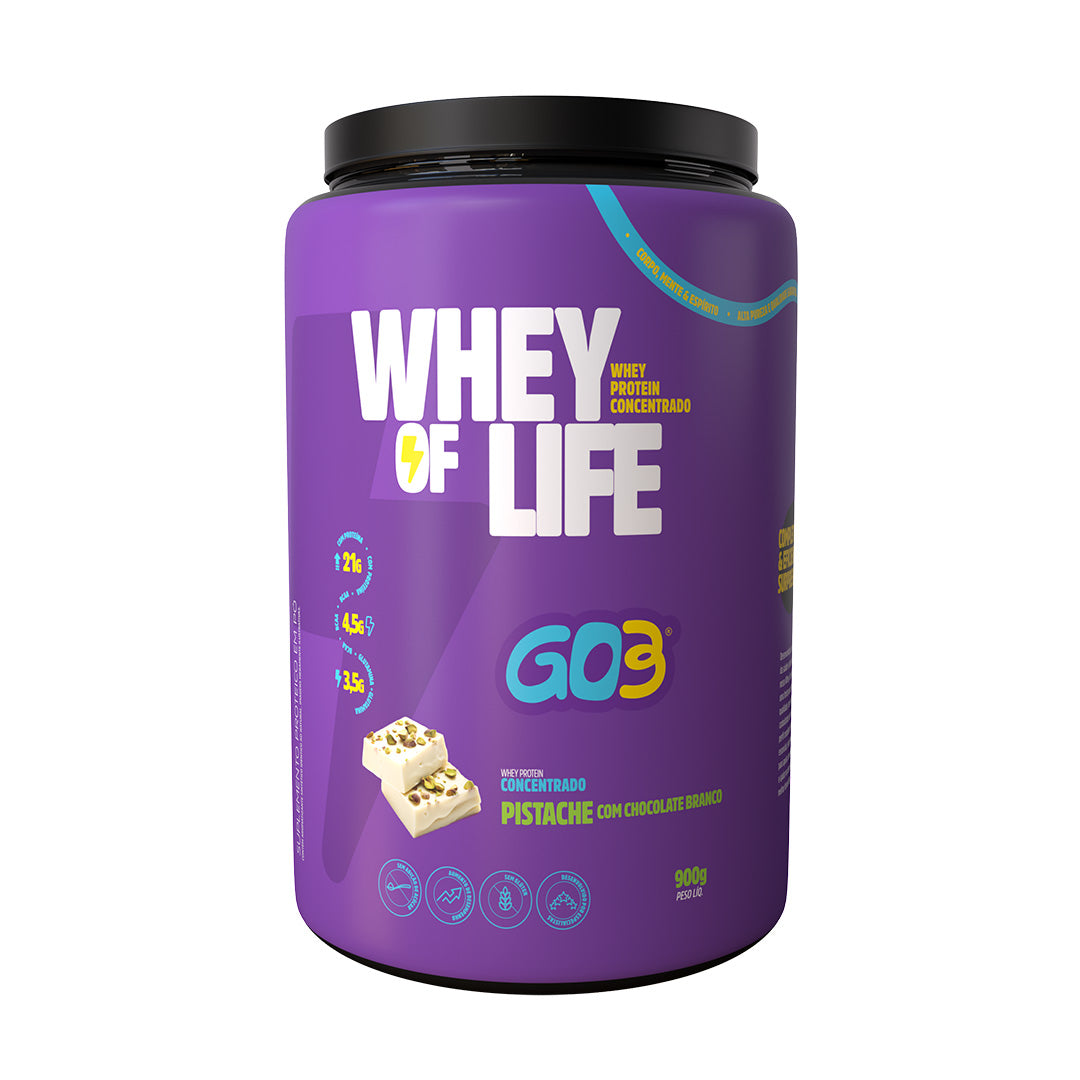 WHEY PROTEIN CONCENTRADO GO3 - 900 g