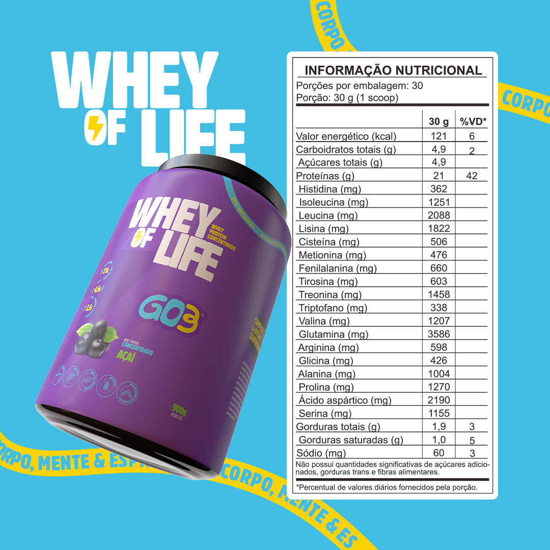 WHEY PROTEIN CONCENTRADO GO3 - 900 g
